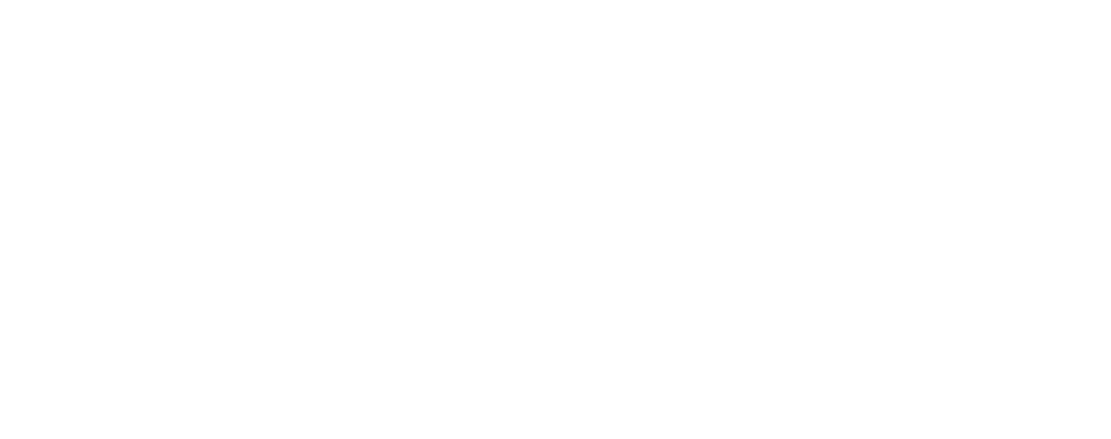 baltic_car_logo_rent_white